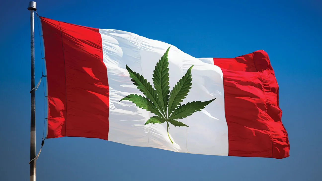 Buy weed in Toronto