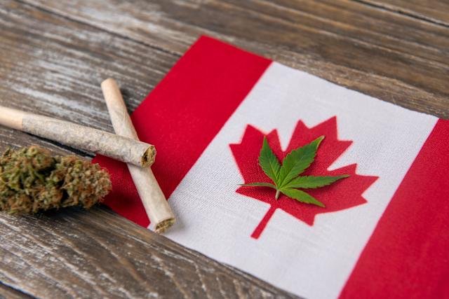 Buy weed in Thunder bay Canada