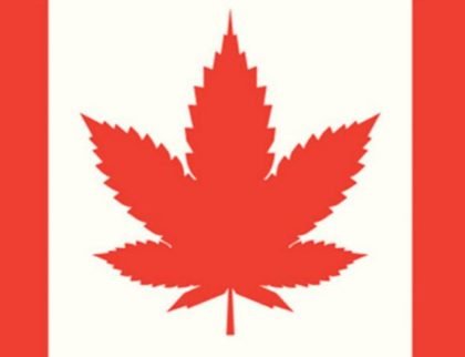 Buy weed in Brampton