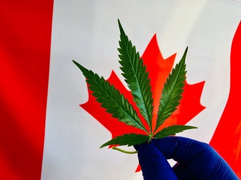 Buy weed in London Ontario