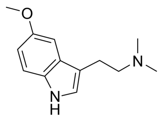 Buy nn dmt online