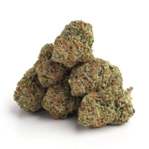 Alternative view of Hawaiian Skunk