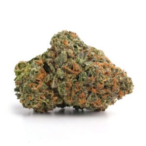 Hawaiian Skunk