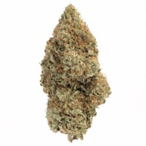 Alternative view of Slurricane