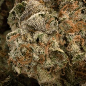 Slurricane
