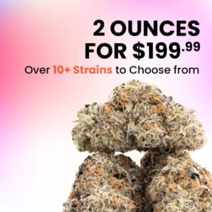Flash Deals